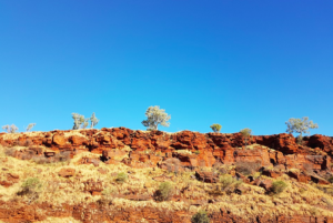 Pilbara Mannwest